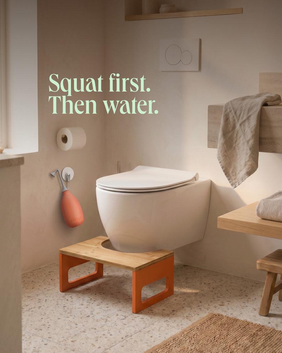 The Holy Poop – toilet stool and butt shower in the bathroom