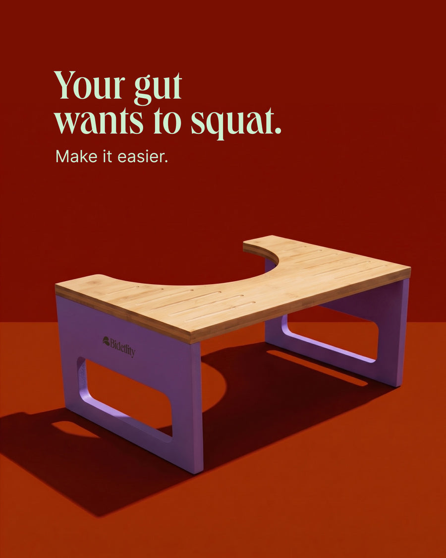 Bidetlity toilet stool – natural squatting position