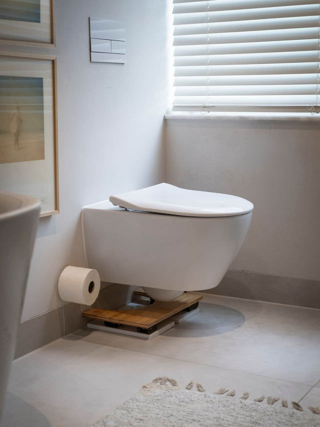Toilet Stool