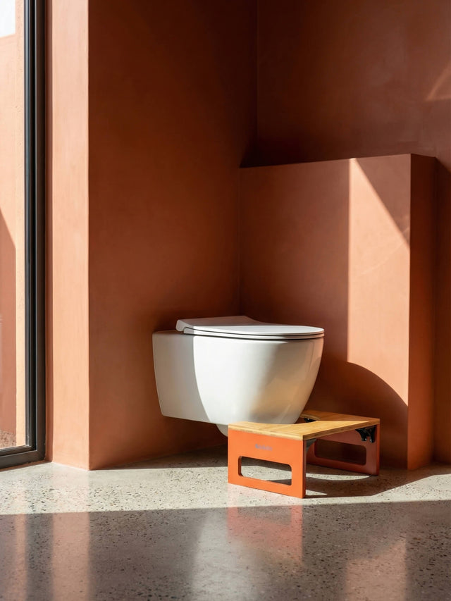 Toilet Stool